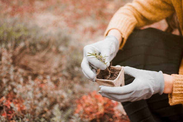 Soil and leaf sampling consultation