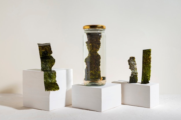 The philosophy behind Kelp Core Lab's approach to feeding